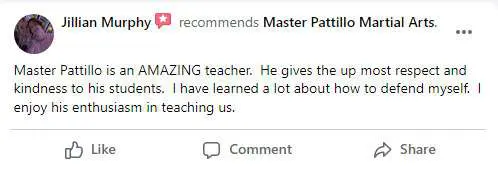 Bjj Reviews 2, Master Pattillo Martial Arts Winder