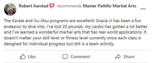 Bjj Reviews 3, Master Pattillo Martial Arts Winder